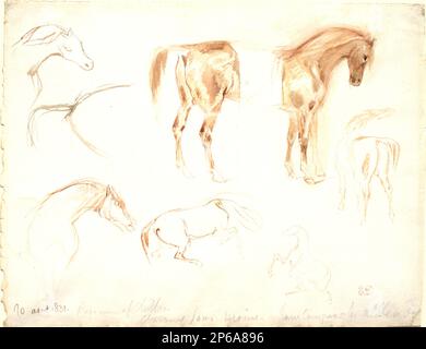 Ferdinand-Victor-Eugène Delacroix, Studies of Horses, 1831, Pinsel und Braun, rotbraun, Gelbe und graue Tinte auf Papier. Stockfoto