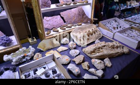 Warschau, Polen. 5. März 2023 Warschauer Mineralausstellung 2023. Farbige Steine unterschiedlicher Größe liegen auf einem Regal. Ausstellung von Halbedelsteinen. Stockfoto