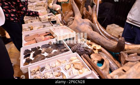 Warschau, Polen. 5. März 2023 Warschauer Mineralausstellung 2023. Farbige Steine unterschiedlicher Größe liegen auf einem Regal. Ausstellung von Halbedelsteinen. Stockfoto