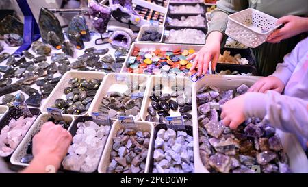 Warschau, Polen. 5. März 2023 Warschauer Mineralausstellung 2023. Farbige Steine unterschiedlicher Größe liegen auf einem Regal. Ausstellung von Halbedelsteinen. Stockfoto