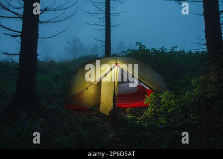 Grünes, leichtes, freistehendes, dreijähriges Zelt für 2 Personen auf dem Wald am Morgen nach Regen in den Beskid Mountains Stockfoto