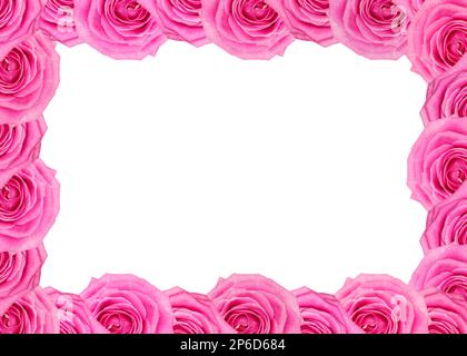 Blumenrahmen mit rosa Rosenmuster isoliert auf weißem Hintergrund. Banner, Modell, Kopfzeile mit Kopierbereich. Naturblumen Tapete, Grußkarte oder ich Stockfoto