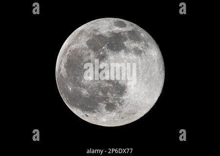 London, Großbritannien. 7. März 2023 UK Weather : der Vollmond erhebt sich in einer klaren Nacht über dem Nordwesten Londons. Der Vollmond dieses Monats ist laut Almanach des Alten Bauern als Wurmmond bekannt und erkennt an, dass Regenwürmer auftreten, wenn sich der Boden im Frühjahr erwärmt. Das MET-Büro hat eine gelbe Warnung wegen Schnee und Eis über einem Großteil des Vereinigten Königreichs ausgegeben. Kredit: Stephen Chung / Alamy Live News Stockfoto