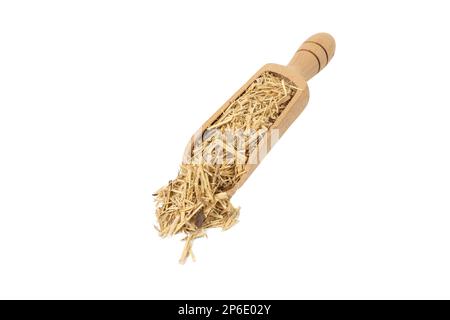 sibirischer Ginseng bei lateinischem Eleutherococcus senticosus in auf weißem Hintergrund isolierter Holzschaufel. Heilkraut. Hat eine lange Tradition in Folklore und Stockfoto