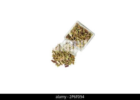 Katzenminkraut auf lateinisch - Nepeta cataria fällt aus einem Glasgefäß isoliert auf weißem Hintergrund. Heilkraut. Stockfoto