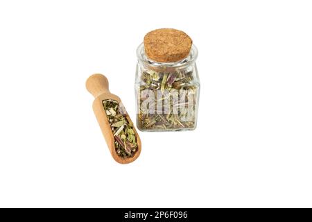 Katzenminkraut in lateinisch - Nepeta cataria in Holzschaufel und Glasgefäß auf isoliertem weißem Hintergrund. Heilkraut. Stockfoto