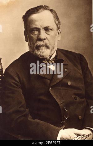 1890 Ca , Paris , Frankreich : der gefeierte französische Wissenschaftler LOUIS PASTEUR ( 1822 - 1895 ) , Foto von Nadar - foto storiche - foto storica - scienziato - Wissenschaftler - Portrait - ritratto - FRANCIA - barba - Bart - Cravatta - Schleife - papillon - Occhiali - Pince nez - Linse - Brille - MEDICO - MEDICINA - Medizin - SCIENZA - WISSENSCHAFT -- - Archivio GBB Stockfoto