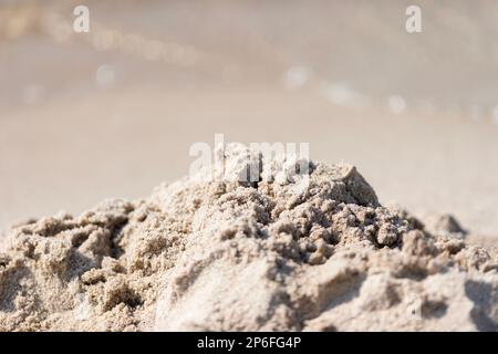 Sandstrand, Sommerthema Hintergrund. Horizontales Sommerposter, Grußkarten, Kopfzeilen, Website und App Stockfoto