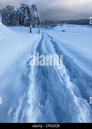 Der schneebedeckte Pfad führt in die Ferne zum Wald. Im Schnee angezeigte Fußspuren. Aargau, Schweiz Stockfoto