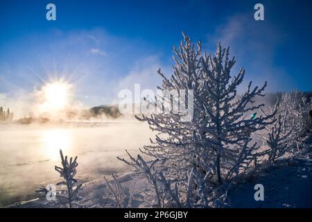 Unglaubliche Aussicht auf den gefrorenen Yukon River im tiefen Winter von Whitehorse mit Heiserfrost über den Bäumen und Sonnenaufgang mit hellblauem Himmel. Stockfoto