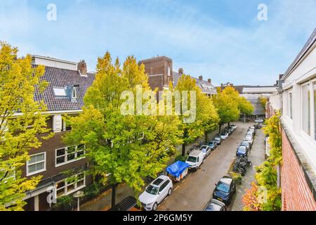Amsterdam, Niederlande - 10. April 2021: Eine urbane Straße in amsterdam, niederlande, mit Autos, die auf beiden Seiten geparkt sind und Bäume, die sich zu gelben Blättern vor blauem Himmel verwandeln Stockfoto