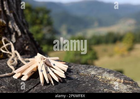 Satz Holznadeln auf Baumstumpf im Freien. Platz für Text Stockfoto