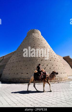 Eine einheimische usbekische Frau sitzt auf einem Kamel an der Arche Bukhara, einer riesigen Festung im Herzen der Altstadt von Bukhara, Usbekistan. Stockfoto