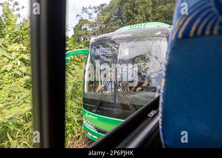 Cariari, Costa Rica: Busse, die Touristen auf einer engen Landstraße befördern. Tourismus. Der Tourismus ist Costa Ricas wichtigste Einkommensquelle und harte Währung. Stockfoto