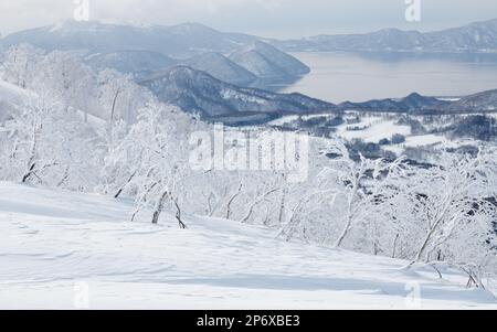 Schneebedeckte Bäume und Winterlandschaft, Toya-See, Hokkaido, japan Stockfoto