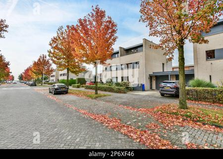 Amsterdam, Niederlande - 10. April 2021: Eine herbstliche Straßenszene mit Blättern auf dem Boden und Autos, die vor Gebäuden geparkt sind, Bäume wechseln die Farben Stockfoto