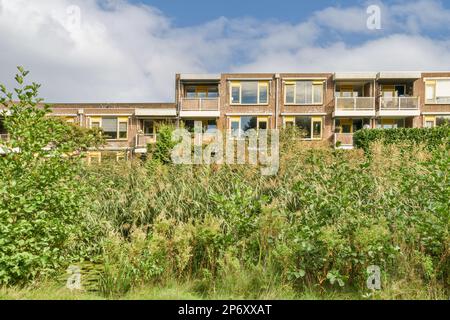 Ein Apartmentkomplex in der Mitte eines Feldes mit hohem Gras und Bäumen auf beiden Seiten, es gibt einen wolkigen blauen Himmel Stockfoto