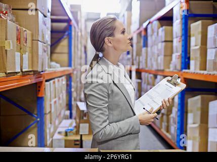 Die Einzüge und Ausgänge des Versands und Wareneingangs. Eine Frau bei der Arbeit in einem Lagerhaus. Stockfoto