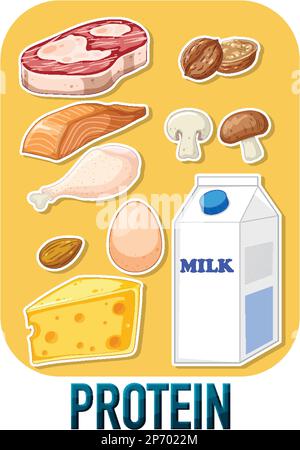 Variety of protein foods with text illustration Stock Vektor