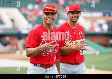 Lakeland FL, USA; St. Louis Cardinals, die den Pitcher Gordon Graceffo (81) und den Stierkorb Jaime Pogue starten, kommen vor einem MLB-Frühling auf dem Feld an Stockfoto