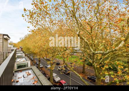 Amsterdam, Niederlande - 10. April 2021: Ein Außenbereich mit Bäumen und Autos, die am Straßenrand vor einem Gebäude geparkt sind, das mit Blättern bedeckt ist Stockfoto