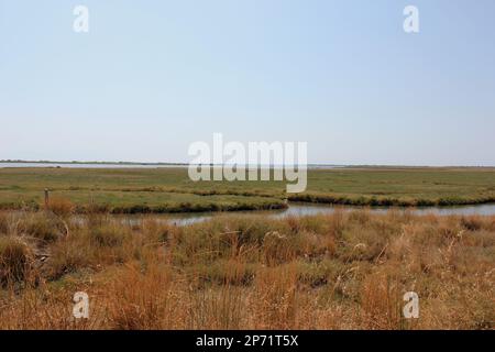 Delta Evros Nationalpark, Evros Thraki Griechenland Stockfoto