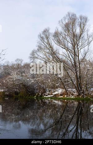 Der Fluss fließt durch den Wald. Im späten Herbst stehen die Bäume im Wald ohne Blattwerk und spiegeln sich im Wasser des Flusses nach dem Schneefall, sn Stockfoto