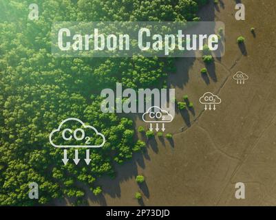 Konzept der CO2-Abscheidung. Natürliche Kohlenstoffsenken. Mangrovenbäume fangen CO2 aus der Atmosphäre ein. Luftaufnahme des grünen Mangrovenwaldes. Blauer Kohlenstoff Stockfoto