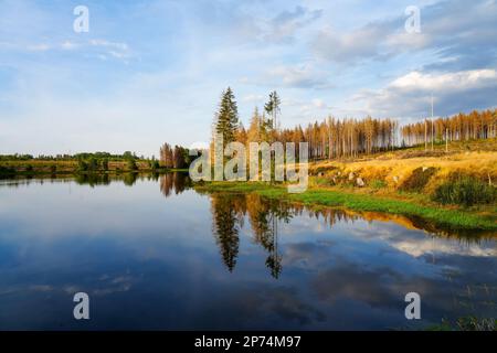 Natur am oberen Nassenwieser Teich im Harz-Gebirge. Blick auf den Teich und die umliegende Landschaft. Stockfoto