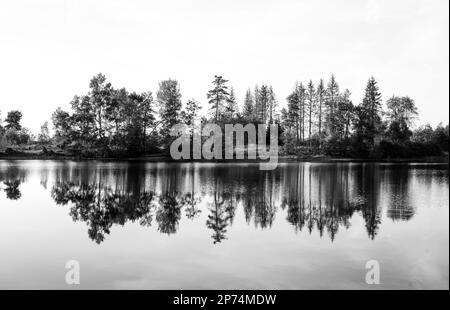 Natur am oberen Nassenwieser Teich im Harz-Gebirge. Blick auf den Teich und die umliegende Landschaft. Stockfoto