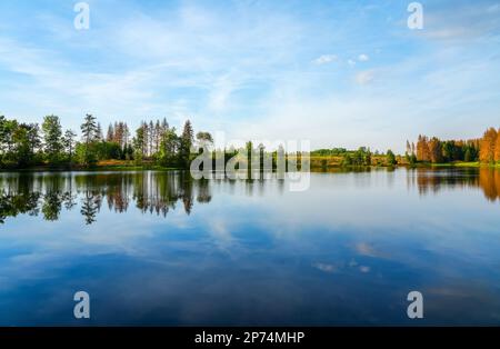 Natur am oberen Nassenwieser Teich im Harz-Gebirge. Blick auf den Teich und die umliegende Landschaft. Stockfoto