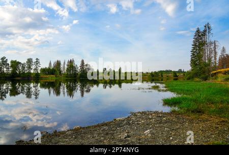 Natur am oberen Nassenwieser Teich im Harz-Gebirge. Blick auf den Teich und die umliegende Landschaft. Stockfoto