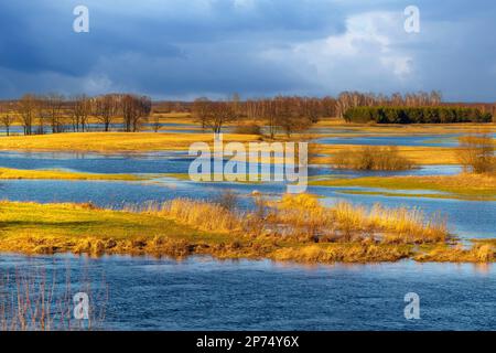 Biebrza Nationalpark, Podlasien, Polen Stockfoto