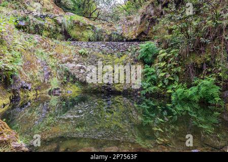 Kleiner See auf dem Wanderweg Levada do Furado zwischen Ribeiro Frio und Portela auf Madeira Stockfoto