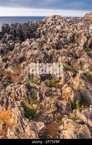 Felsenküste, Felsen von Pría, Karstformation, Bufones de Pría, geschützte Landschaft der Orientalküste von Asturien, Llames de Pría, Asturien, Spanien, E Stockfoto