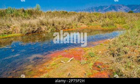 Babai River, Feuchtgebiete, Royal Bardia National Park, Bardiya National Park, Nepal, Asien Stockfoto