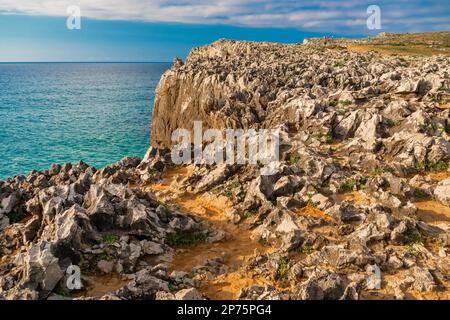 Felsenküste, Felsen von Pría, Karstformation, Bufones de Pría, geschützte Landschaft der Orientalküste von Asturien, Llames de Pría, Asturien, Spanien, E Stockfoto