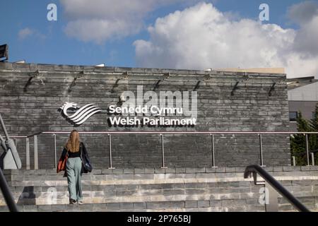 Senedd-Gebäude (walisisches Parlament), Cardiff Bay, Wales Stockfoto