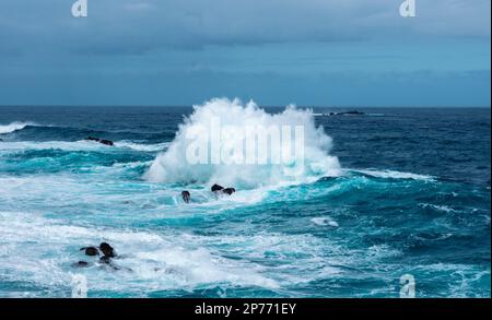 Wellen schlagen auf Felsen und bilden große Wassersäulen Stockfoto