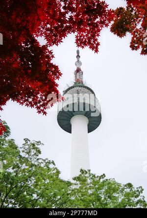 Seoul, Südkorea - Mai 2022: N Seoul Tower mit grünen und roten Herbstapfelblättern am Namsan Mountain Stockfoto