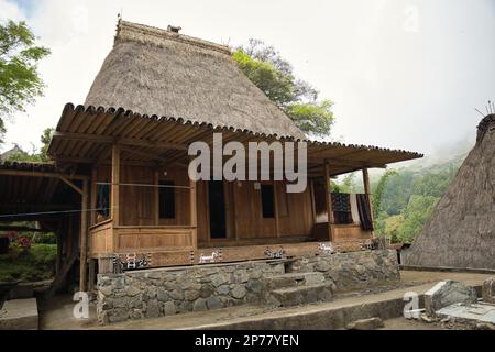 Das traditionelle Bena Village on Flores, im Fokus das Haupthaus des Dorfes mit Strohdach, im Hintergrund des Regenwalds. Stockfoto