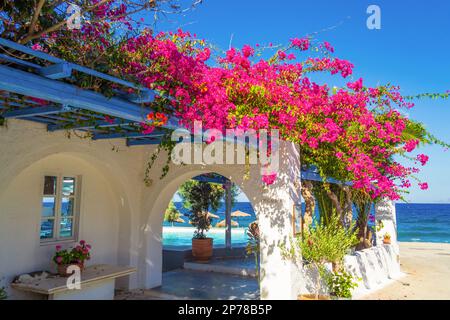 Traditionelle kykladische weiße Villa mit blühenden rosa Bougainvillea-Sträuchern auf dem Gipfel im Dorf Kamari am Strand, Insel Santorini Ostküste, Griechenland Stockfoto