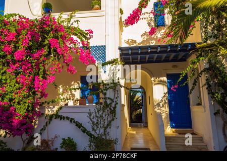 Hübsches traditionelles Haus mit wunderschönen blühenden Sträuchern vor dem Dorf Kamari, Santorini Insel Griechenland... Santorini ist eine ägäische Inselgruppe Stockfoto