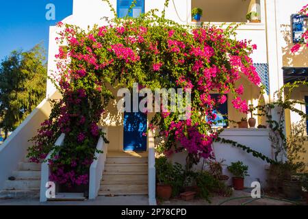 Hübsches traditionelles Haus mit wunderschönen blühenden Sträuchern vor dem Dorf Kamari, Santorini Insel Griechenland... Santorini ist eine ägäische Inselgruppe Stockfoto