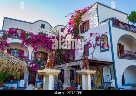 Hübsches traditionelles Haus mit wunderschönen blühenden Sträuchern vor dem Dorf Kamari, Santorini Insel Griechenland... Santorini ist eine ägäische Inselgruppe Stockfoto