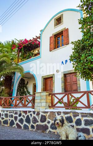 Hübsches traditionelles Haus mit wunderschönen blühenden Sträuchern vor dem Dorf Kamari, Santorini Insel Griechenland... Santorini ist eine ägäische Inselgruppe Stockfoto