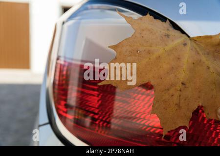 Trockenes Ahornblatt am Rücklicht des Fahrzeugs. Stockfoto