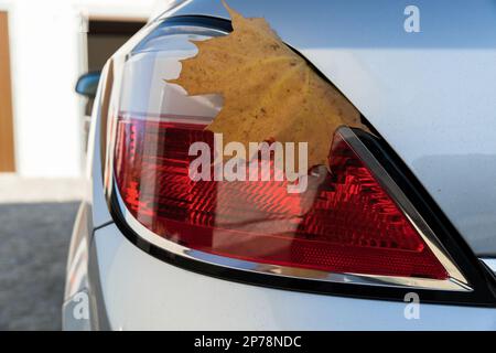 Trockenes Ahornblatt am Rücklicht des Fahrzeugs. Stockfoto