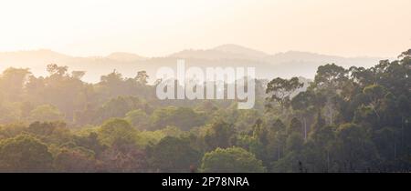 Panoramaszene mit asiatischem tropischem Regenwald bedeckt mit Bäumen und Büschen mit Blick auf die trübe Bergkette bei Sonnenuntergang. Stockfoto