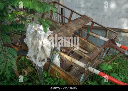 Ein alter rostiger Eisenwagen mit Platten Reifen auf dem Boden, überwuchert mit wildem Gras Stockfoto